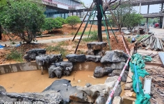 中国古典园林中常用的经典景观石有哪些？