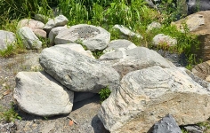 江西有哪些具有特色的景观石品种？其核心特点是什么？