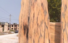 晚霞红门牌石在园林景观中有哪些实际应用？如何提升其装饰效果？