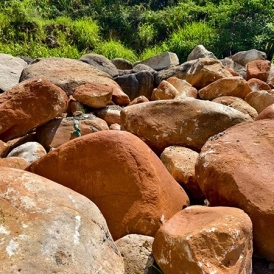 新余黄蜡石厂家