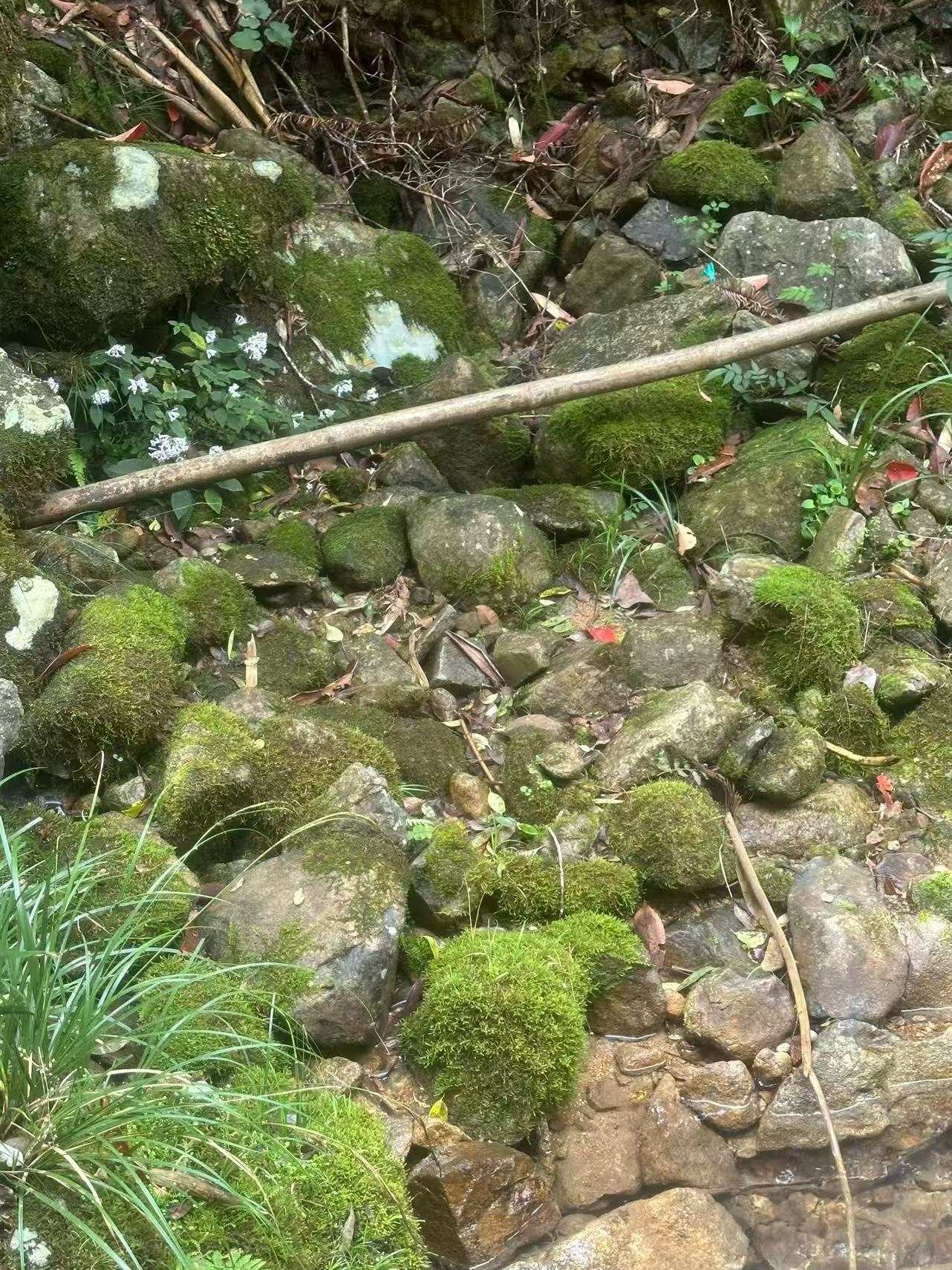 江西野山石加工