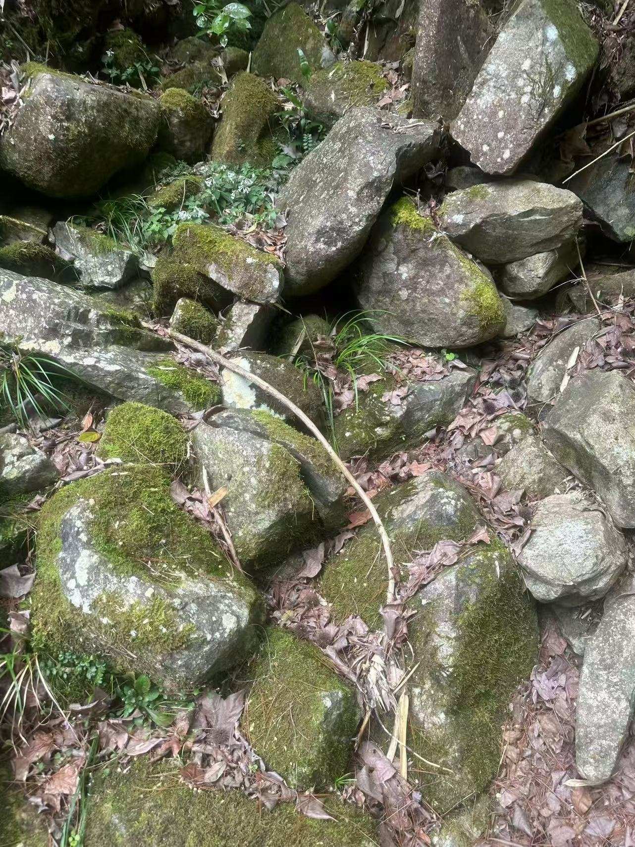 江西野山石厂家