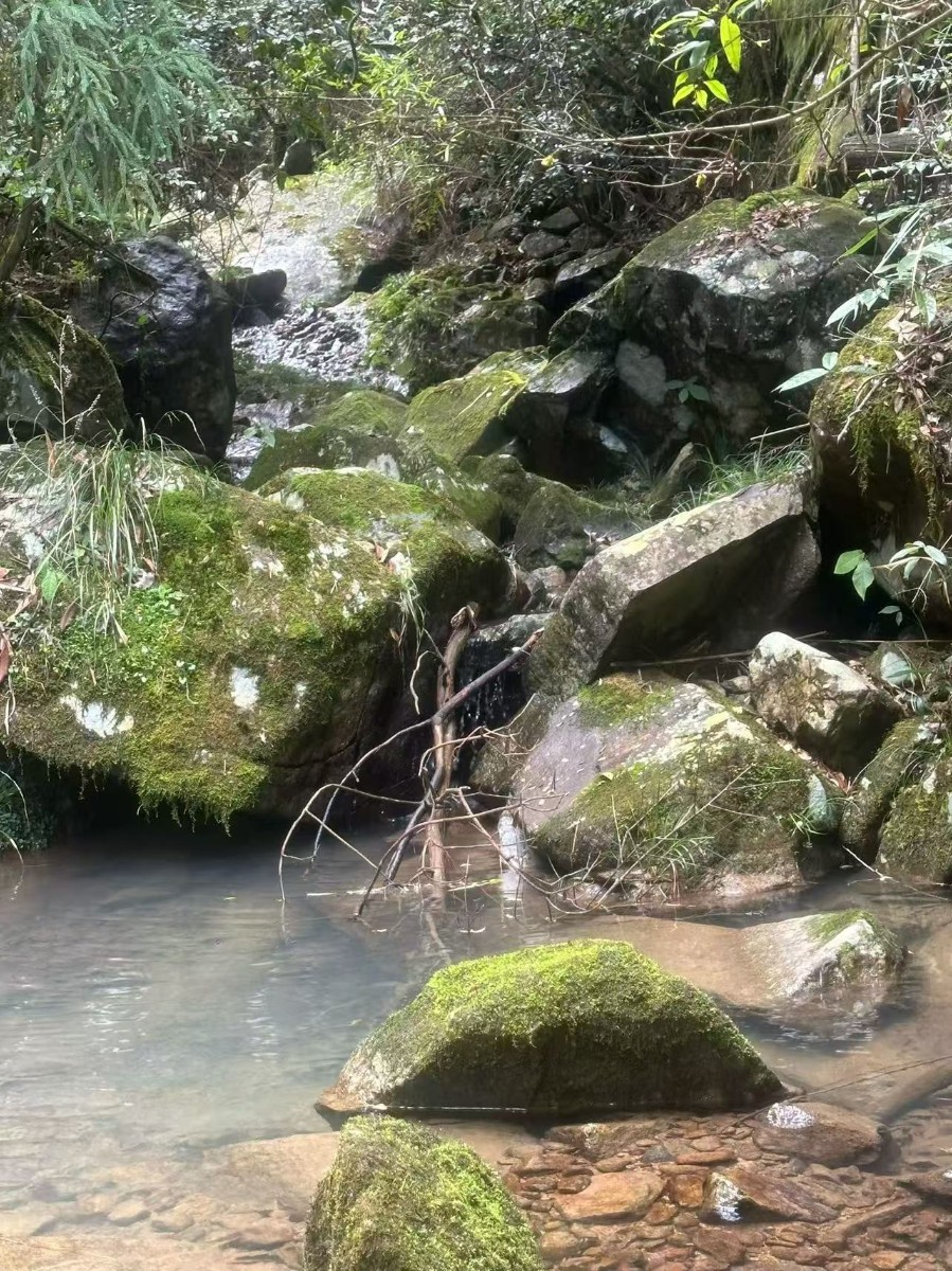 江西野山石加工