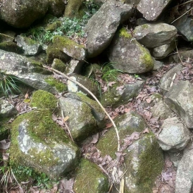 江西野山石厂家