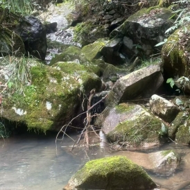 江西野山石加工